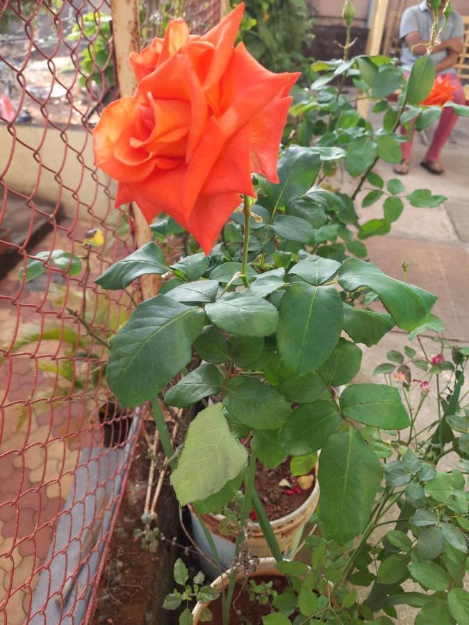 Trimurti Holiday Home Panchgani Exteriör bild