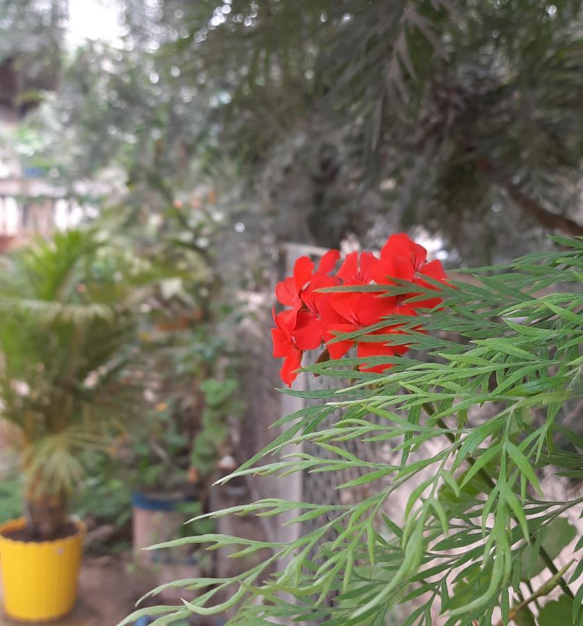 Trimurti Holiday Home Panchgani Exteriör bild