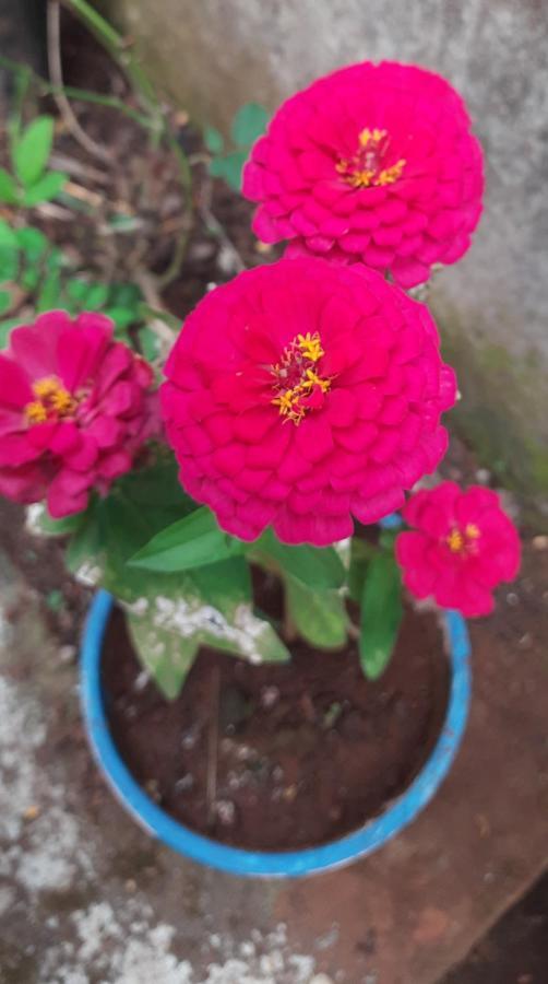 Trimurti Holiday Home Panchgani Exteriör bild