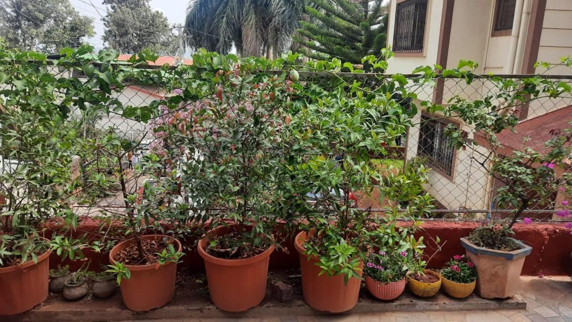 Trimurti Holiday Home Panchgani Exteriör bild