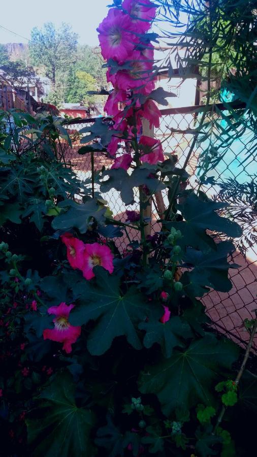 Trimurti Holiday Home Panchgani Exteriör bild